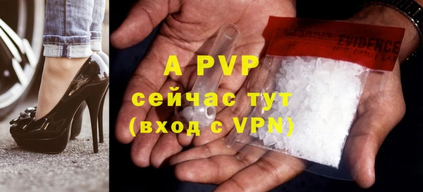 индика Инта