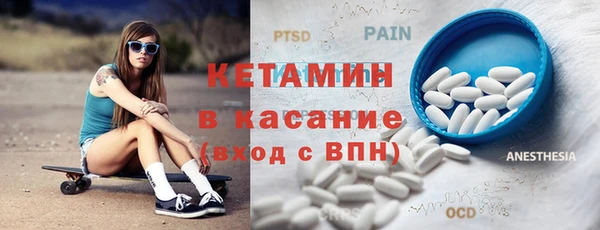индика Инта
