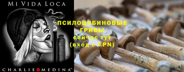 индика Инта