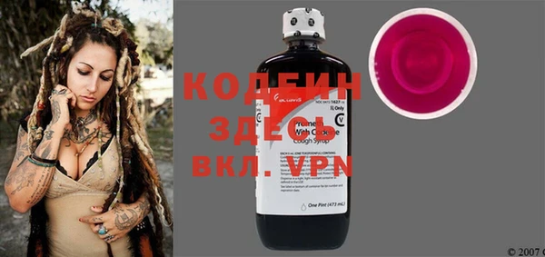 индика Инта