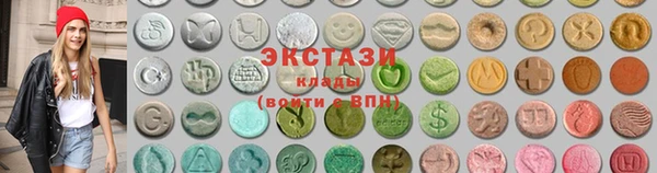 индика Инта