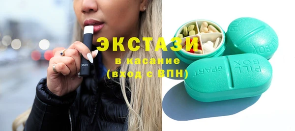 индика Инта