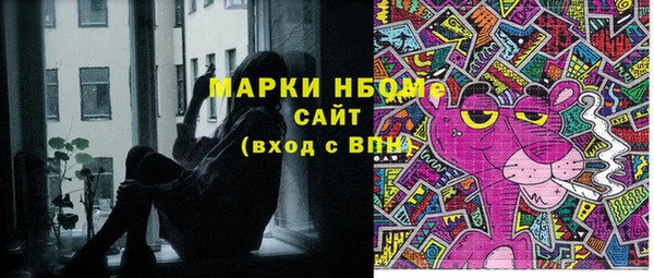 индика Инта
