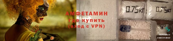 индика Инта