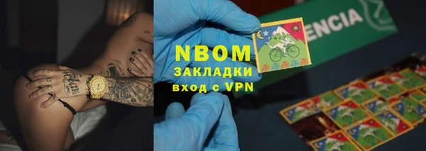 индика Инта
