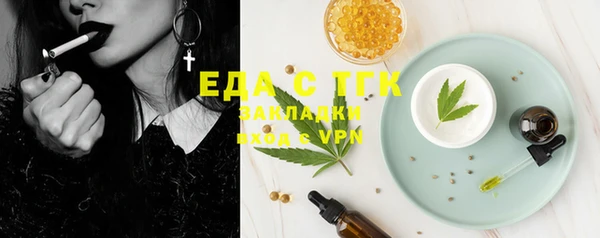 индика Инта