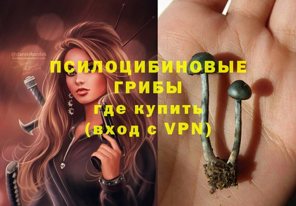 индика Инта