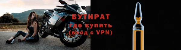 индика Инта