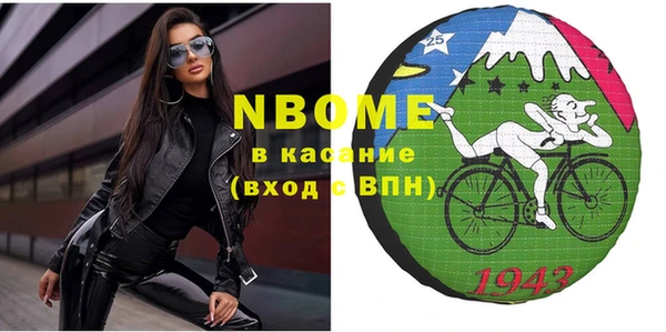 индика Инта
