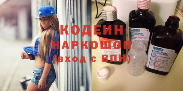 индика Инта