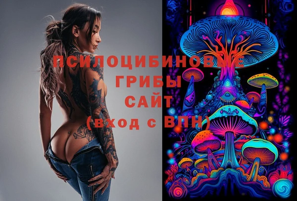 индика Инта